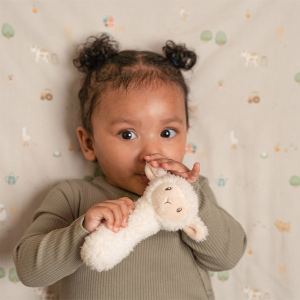 Little Dutch zvečka 